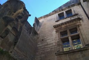 Baux and Saint Rémy de Provence: History Wine and Landscapes