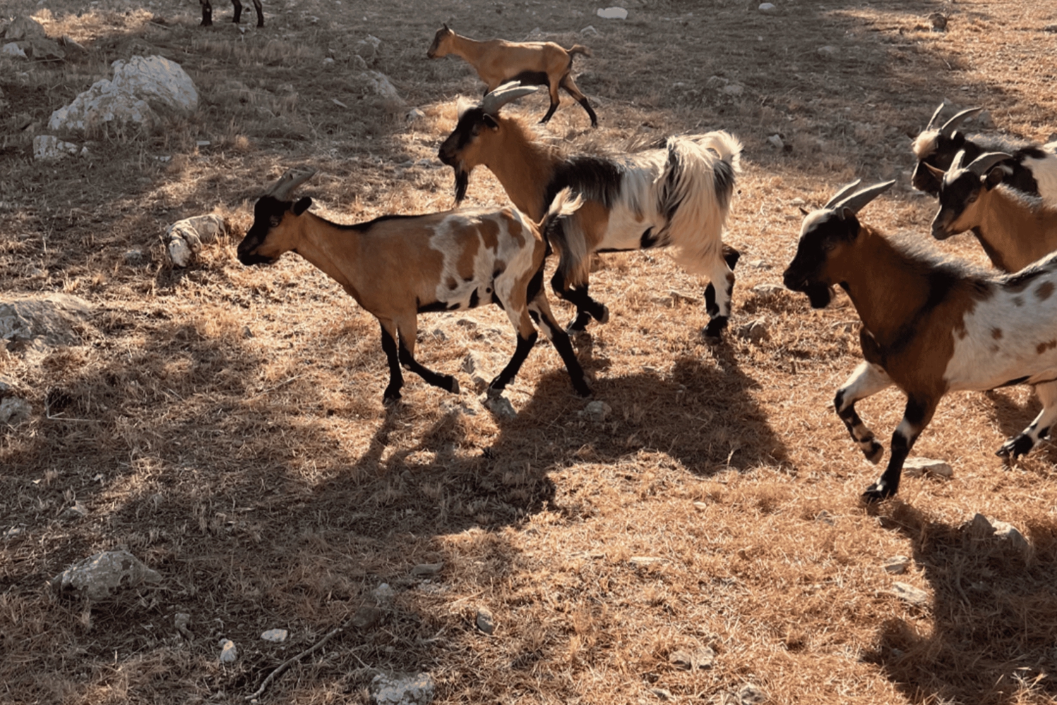 Between sea and hills: in the footsteps of Allauch, Aix, Marseille
