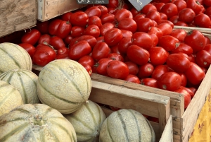 Between sea and hills: in the footsteps of Allauch, Aix, Marseille