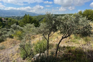 Between sea and hills: in the footsteps of Allauch, Aix, Marseille