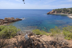 From Marseille to the Calanques Blueues by train, hike, lagoons and villages