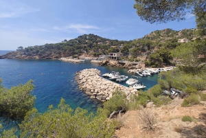 From Marseille to the Calanques Blueues by train, hike, lagoons and villages