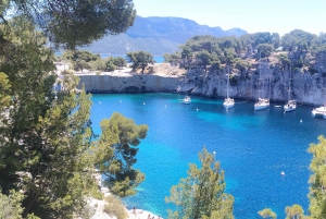 Cassis : Hiking Tour 2 Calanques with swimming
