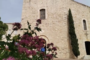 Cassis, Bandol, Le Castellet wine tour: Cliffs and Vineyards