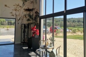 Cassis, Bandol, Le Castellet wine tour: Cliffs and Vineyards