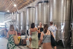 Cassis, Bandol, Le Castellet wine tour: Cliffs and Vineyards