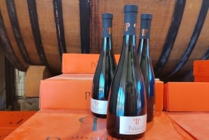 Cassis, Bandol, Le Castellet wine tour: Cliffs and Vineyards