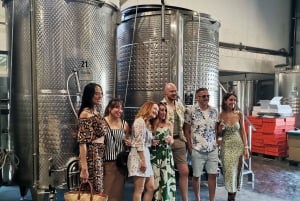 Cassis, Bandol, Le Castellet wine tour: Cliffs and Vineyards