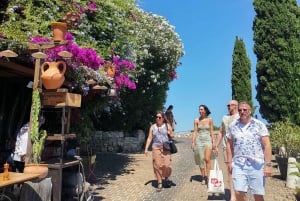 Cassis, Bandol, Le Castellet wine tour: Cliffs and Vineyards