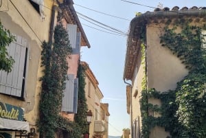 Cassis, Bandol, Le Castellet wine tour: Cliffs and Vineyards