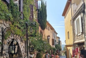 Cassis, Bandol, Le Castellet wine tour: Cliffs and Vineyards