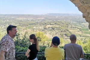 Cassis, Bandol, Le Castellet wine tour: Cliffs and Vineyards
