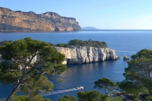 Cassis Tour, Calanques Boat Ride & Cosquer Cave visit