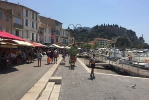 Cassis, Bandol, Le Castellet wine tour: Cliffs and Vineyards