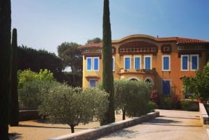 Cassis, Bandol, Le Castellet wine tour: Cliffs and Vineyards