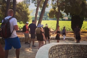 Cassis, Bandol, Le Castellet wine tour: Cliffs and Vineyards