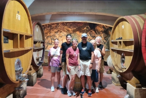 Cassis, Bandol, Le Castellet wine tour: Cliffs and Vineyards