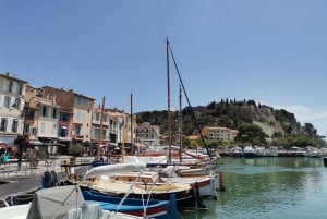 Cassis, Bandol, Le Castellet wine tour: Cliffs and Vineyards
