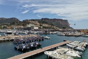 Cassis, Bandol, Le Castellet wine tour: Cliffs and Vineyards