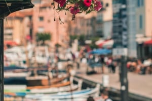 Cassis, Bandol, Le Castellet wine tour: Cliffs and Vineyards