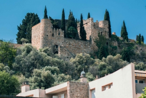 Cassis, Bandol, Le Castellet wine tour: Cliffs and Vineyards