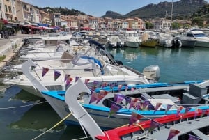 Cassis, Bandol, Le Castellet wine tour: Cliffs and Vineyards