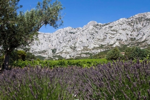 Coteaux d'Aix: Ste Victoire Wine Tour & Cezanne route