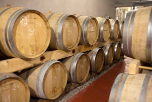 Coteaux d'Aix: Ste Victoire Wine Tour & Cezanne route