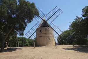Coteaux d'Aix: Ste Victoire Wine Tour