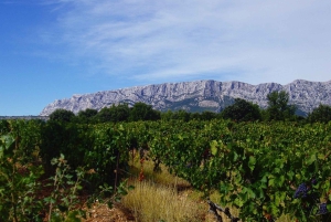 Coteaux d'Aix: Ste Victoire Wine Tour