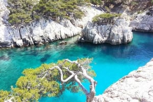 Provence private tour: Aix-en-Provence, (Marseille) & Cassis