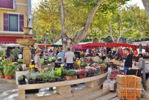 Provence private tour: Aix-en-Provence, (Marseille) & Cassis