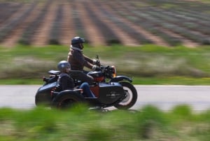 From Aix-en-Provence: 2-Hour Wine & Scenery Sidecar Tour