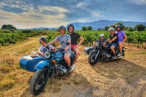 From Aix-en-Provence: 2-Hour Wine & Scenery Sidecar Tour