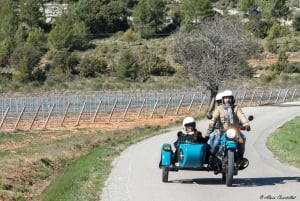 From Aix-en-Provence: 2-Hour Wine & Scenery Sidecar Tour