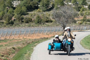 From Aix-en-Provence: 2-Hour Wine & Scenery Sidecar Tour