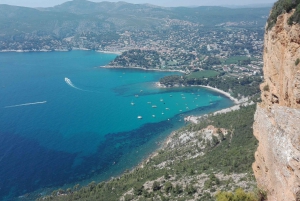 From Aix en Provence: Bandol & Cassis Full-day Wine Tour