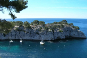 From Aix-en-Provence: Cassis Tour with Cap Canaille Stop