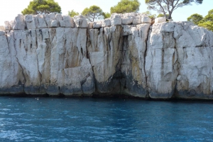 From Aix-en-Provence: Cassis Tour with Cap Canaille Stop