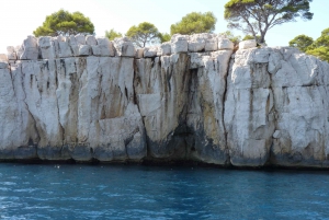 From Aix-en-Provence: Cassis Tour with Cap Canaille Stop