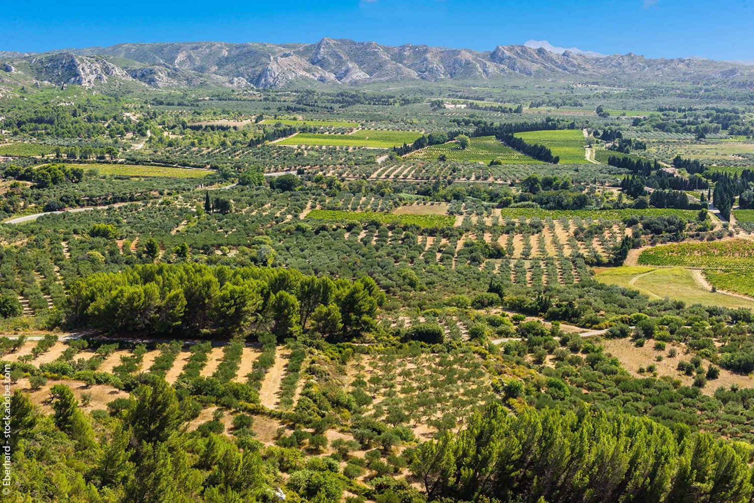 From Aix-en-Provence : Wine, Olive Oil and Scenic Villages