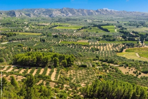 From Aix-en-Provence : Wine, Olive Oil and Scenic Villages
