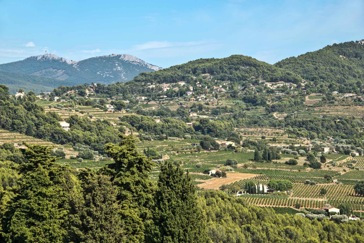 From Marseille: Bandol & Cassis Full-day Wine tour