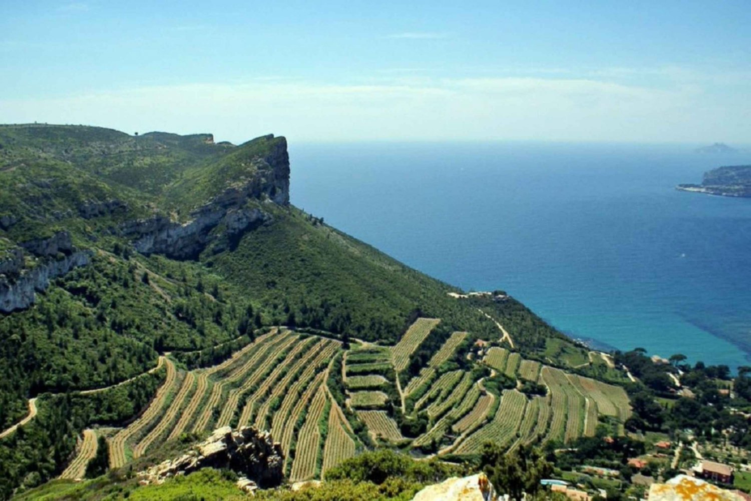 From Marseille: Bandol/Cassis Wine Tour with Viewpoint