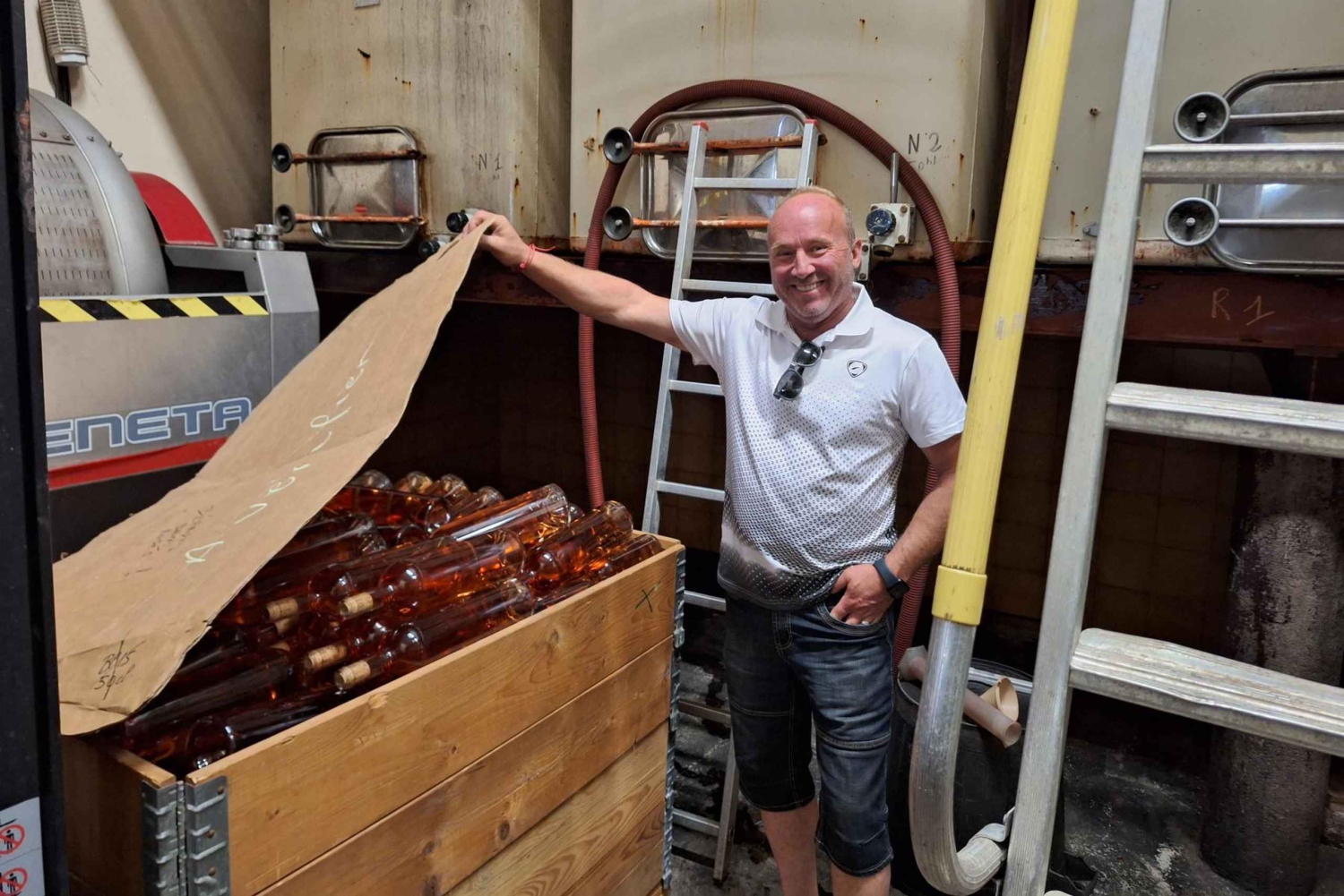 From Marseille: Bandol/Cassis Wine Tour with Viewpoint