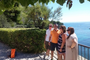From Marseille: Bandol/Cassis Wine Tour with Viewpoint