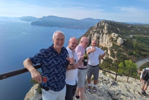 From Marseille: Bandol/Cassis Wine Tour with Viewpoint