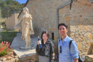 From Marseille: Bandol/Cassis Wine Tour with Viewpoint