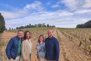 From Marseille: Bandol/Cassis Wine Tour with Viewpoint