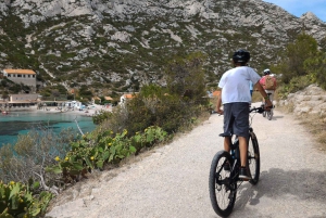 From Marseille: Calanques National Park E-Mountain Bike Tour